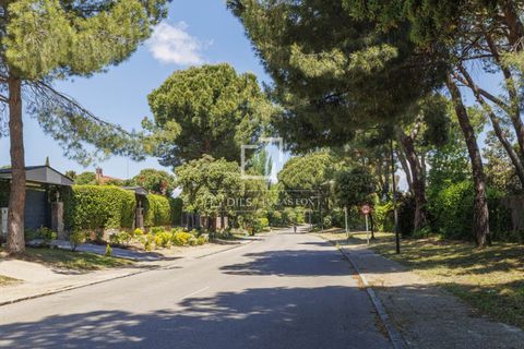 Terra a Boadilla Del Monte, Madrid, Boadilla Del Monte - € 1.450.000 | Ref: POZ57693 - foto 12