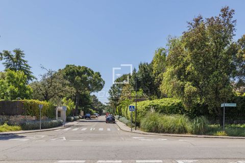 Terra a Boadilla Del Monte, Madrid, Boadilla Del Monte - € 1.450.000 | Ref: POZ57693 - foto 13