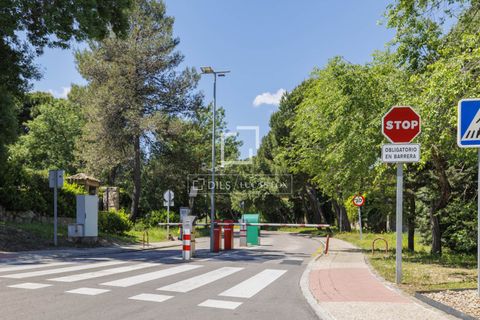 Terra a Boadilla Del Monte, Madrid, Boadilla Del Monte - € 1.450.000 | Ref: POZ57693 - foto 14