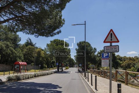 Terra a Boadilla Del Monte, Madrid, Boadilla Del Monte - € 1.450.000 | Ref: POZ57693 - foto 15