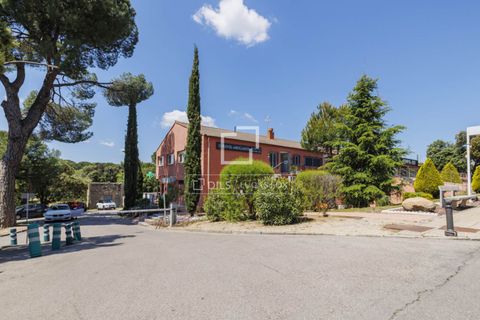 Terra a Boadilla Del Monte, Madrid, Boadilla Del Monte - € 1.450.000 | Ref: POZ57693 - foto 17