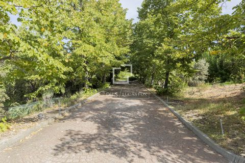 Villa a Boadilla Del Monte, Madrid, Boadilla Del Monte - € 4.400.000 | Ref: POZ66482 - foto 32