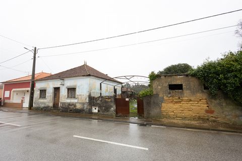 Villa i Cantanhede, Coimbra, Cantanhede - € 115.000 | Ref: 17/2026 - foto 2