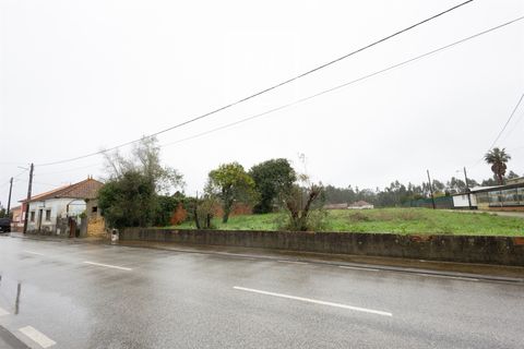 Villa i Cantanhede, Coimbra, Cantanhede - € 115.000 | Ref: 17/2026 - foto 5