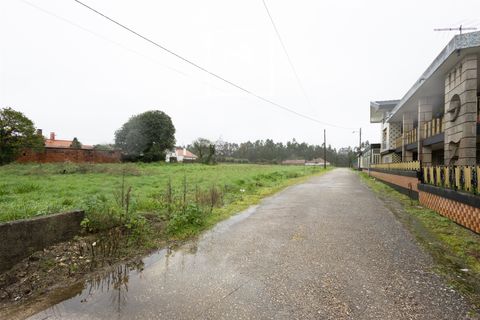 Villa i Cantanhede, Coimbra, Cantanhede - € 115.000 | Ref: 17/2026 - foto 6