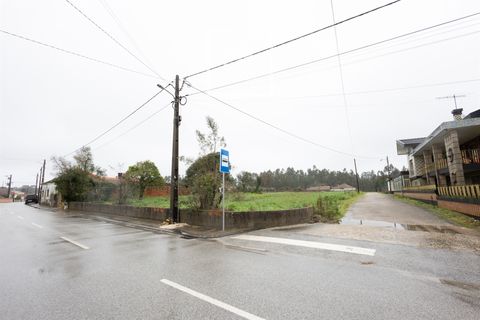 Villa i Cantanhede, Coimbra, Cantanhede - € 115.000 | Ref: 17/2026 - foto 7