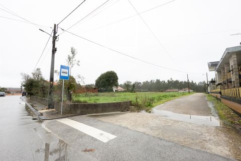Villa i Cantanhede, Coimbra, Cantanhede - € 115.000 | Ref: 17/2026 - foto 8