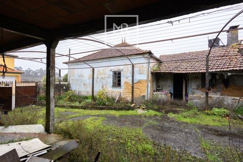 Villa i Cantanhede, Coimbra, Cantanhede - € 115.000 | Ref: 17/2026 - foto 10