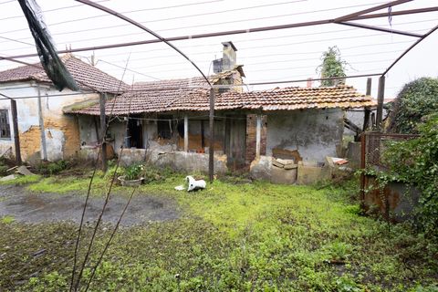 Villa i Cantanhede, Coimbra, Cantanhede - € 115.000 | Ref: 17/2026 - foto 11