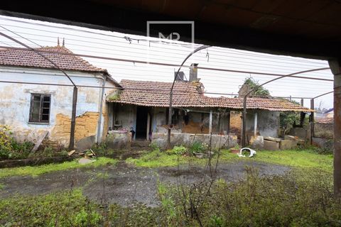 Villa i Cantanhede, Coimbra, Cantanhede - € 115.000 | Ref: 17/2026 - foto 12