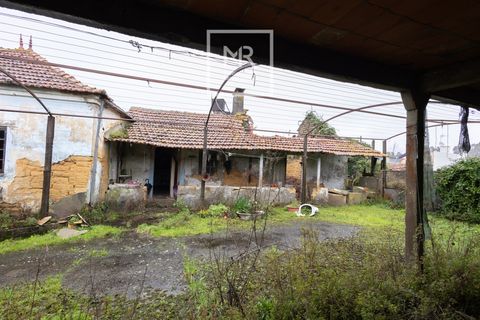 Villa i Cantanhede, Coimbra, Cantanhede - € 115.000 | Ref: 17/2026 - foto 13