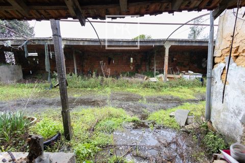Villa i Cantanhede, Coimbra, Cantanhede - € 115.000 | Ref: 17/2026 - foto 14