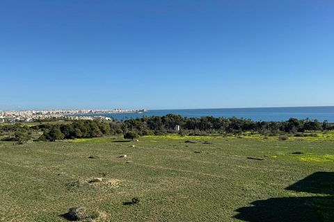 Apartamento en Punta Prima, Alicante, Punta Prima - € 220.000 | Ref: 17-279076236689/74581 - photo 25
