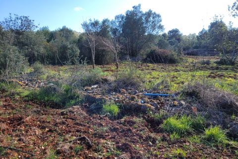 Terra a Denia, Alicante, Denia - € 159.000 | Ref: BR00861 - foto 3