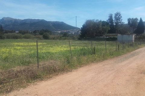 Terra a Denia, Alicante, Denia - € 198.000 | Ref: PAR-D-0020 - foto 3