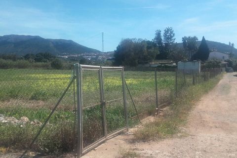 Terra a Denia, Alicante, Denia - € 198.000 | Ref: PAR-D-0020 - foto 5