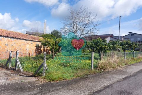 Helårsgrund i Agueda, Aveiro, Agueda - € 12.500 | Ref: CS/046/2023 - foto 1