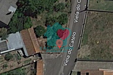Helårsgrund i Agueda, Aveiro, Agueda - € 12.500 | Ref: CS/046/2023 - foto 2