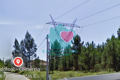 Helårsgrund i Agueda, Aveiro, Agueda - € 57.500 | Ref: CS/057/2023 - foto 4