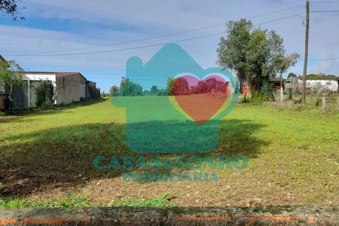 Helårsgrund i Estarreja, Aveiro, Estarreja - € 11.500 | Ref: CS/093/2023 - foto 3