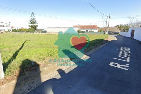 Helårsgrund i Agueda, Aveiro, Agueda - € 39.500 | Ref: CS/018/2024 - foto 3