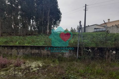Helårsgrund i Agueda, Aveiro, Agueda - € 12.500 | Ref: CS/049/2025 - foto 4