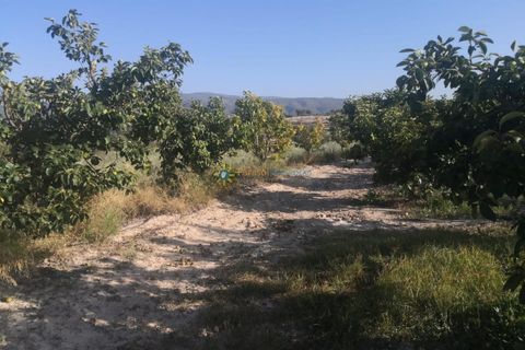 Villa a Albaida, Valencia, Albaida - € 100.000 | Ref: PNVL0038 - foto 15