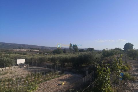 Villa a Albaida, Valencia, Albaida - € 100.000 | Ref: PNVL0038 - foto 19