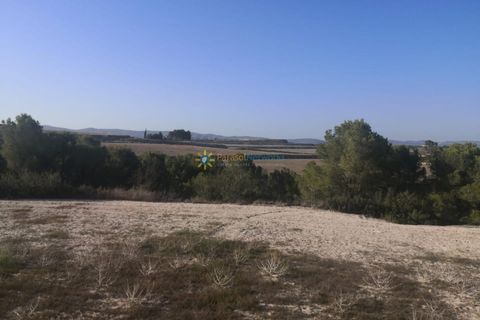 Villa a Albaida, Valencia, Albaida - € 100.000 | Ref: PNVL0038 - foto 9
