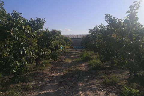 Villa a Albaida, Valencia, Albaida - € 100.000 | Ref: PNVL0038 - foto 11