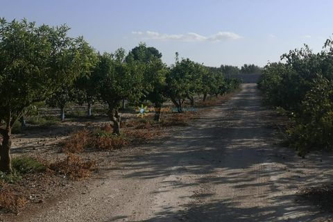 Villa a Albaida, Valencia, Albaida - € 100.000 | Ref: PNVL0038 - foto 13