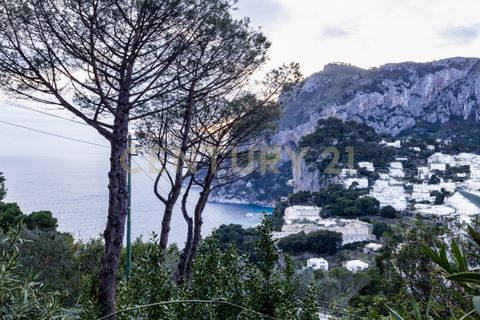 Villa i Capri, Naples, Capri - € 1.350.000 | Ref: 032026 - foto 3