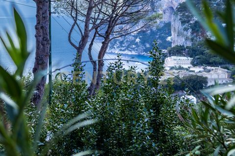 Villa i Capri, Naples, Capri - € 1.350.000 | Ref: 032026 - foto 6