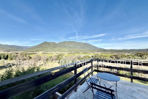 Landejendom i Tallone, Haute-Corse, Tallone - € 445.000 | Ref: 2957 - foto 6