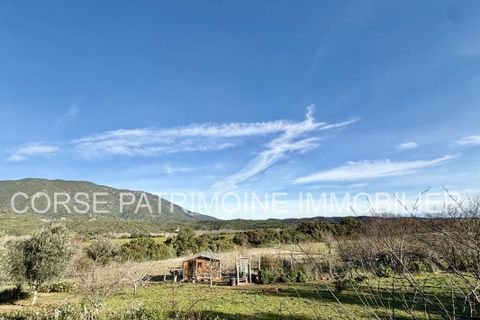 Landejendom i Tallone, Haute-Corse, Tallone - € 445.000 | Ref: 2957 - foto 7