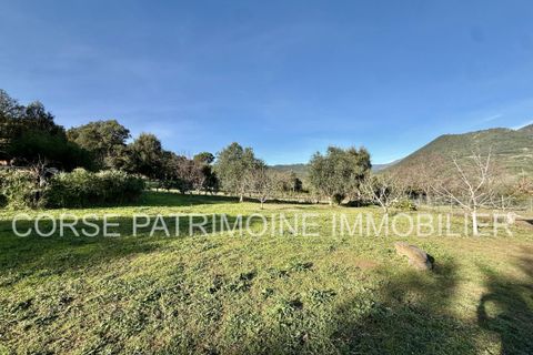 Landejendom i Tallone, Haute-Corse, Tallone - € 445.000 | Ref: 2957 - foto 8