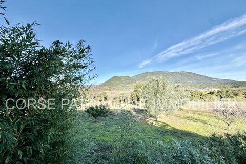Landejendom i Tallone, Haute-Corse, Tallone - € 445.000 | Ref: 2957 - foto 11