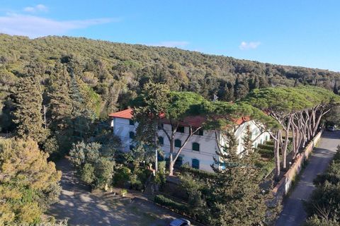 Lejlighed i Rosignano Marittimo, Livorno, Rosignano Marittimo - € 180.000 | Ref: 1821 - foto 14