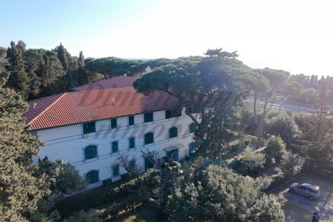 Lejlighed i Rosignano Marittimo, Livorno, Rosignano Marittimo - € 180.000 | Ref: 1821 - foto 16