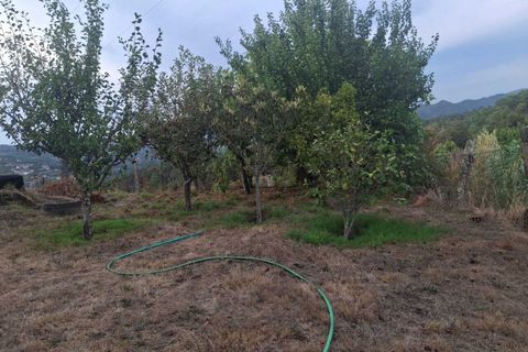 Villa i Moncao, Viana do Castelo, Moncao - € 125.000 | Ref: SF-SAFTI:007695 - foto 18