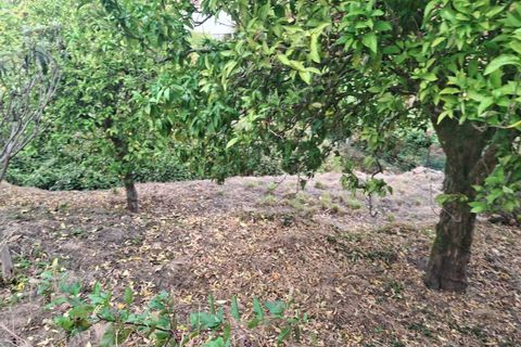 Villa i Moncao, Viana do Castelo, Moncao - € 125.000 | Ref: SF-SAFTI:007695 - foto 20