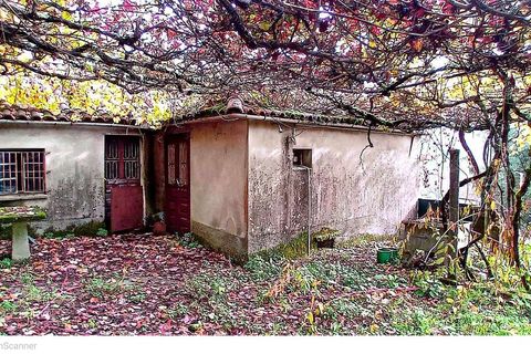 Villa i Arcos de Valdevez, Viana do Castelo, Arcos de Valdevez - € 78.000 | Ref: SF-SAFTI:007629 - foto 1