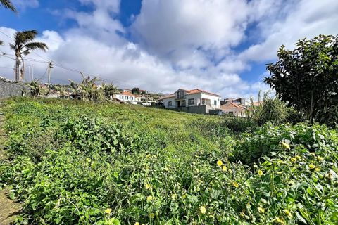 Helårsgrund i Ponta do Sol, Madeira, Ponta do Sol - € 160.000 | Ref: SF-SAFTI:007686 - foto 7