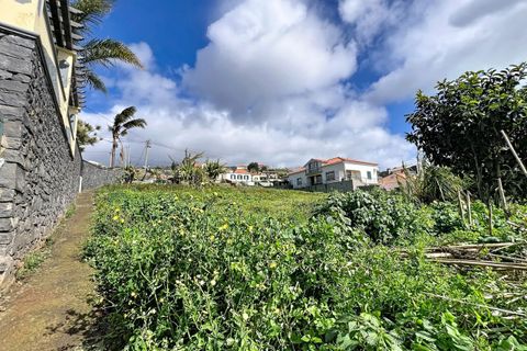 Helårsgrund i Ponta do Sol, Madeira, Ponta do Sol - € 160.000 | Ref: SF-SAFTI:007686 - foto 9