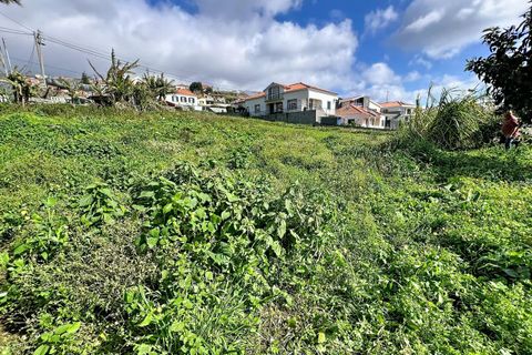 Helårsgrund i Ponta do Sol, Madeira, Ponta do Sol - € 160.000 | Ref: SF-SAFTI:007686 - foto 10