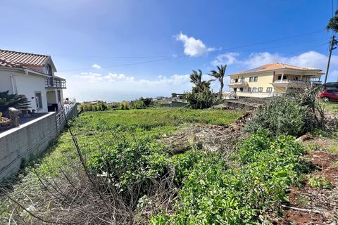 Helårsgrund i Ponta do Sol, Madeira, Ponta do Sol - € 160.000 | Ref: SF-SAFTI:007686 - foto 11
