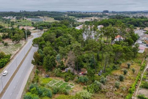Terra a Nelas, Viseu, Nelas - € 139.000 | Ref: KWPT-027857 - foto 8