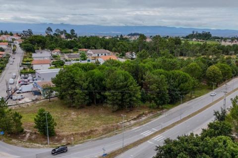 Terra a Nelas, Viseu, Nelas - € 139.000 | Ref: KWPT-027857 - foto 9