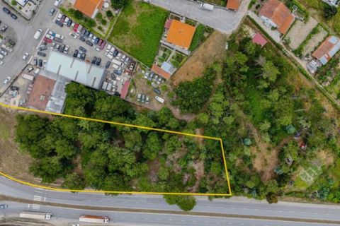Terra a Nelas, Viseu, Nelas - € 139.000 | Ref: KWPT-027857 - foto 10