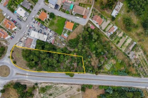 Terra a Nelas, Viseu, Nelas - € 139.000 | Ref: KWPT-027857 - foto 11